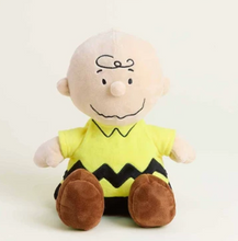 Load image into Gallery viewer, Charlie Brown Warmies
