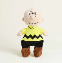Load image into Gallery viewer, Charlie Brown Warmies
